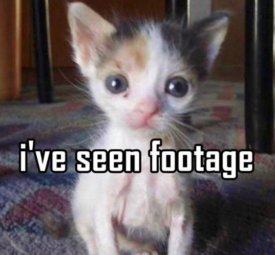 Blip image 1